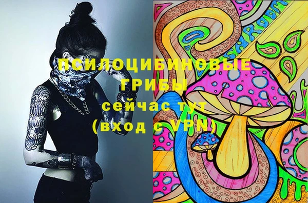 хмурый Наволоки